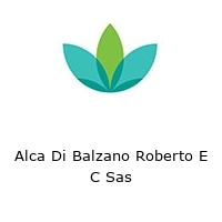 Logo Alca Di Balzano Roberto E C Sas