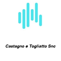 Logo Castagno e Togliatto Snc