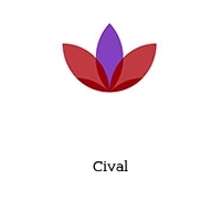 Logo Cival