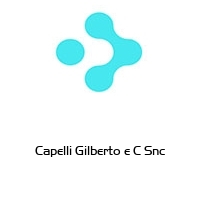 Logo Capelli Gilberto e C Snc