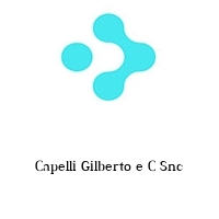 Capelli Gilberto e C Snc