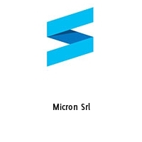 Logo Micron Srl