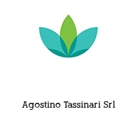 Logo Agostino Tassinari Srl