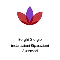 Borghi Giorgio installazioni Riparazioni Ascensori