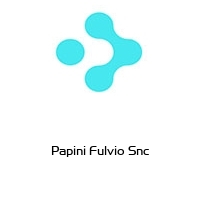 Logo Papini Fulvio Snc