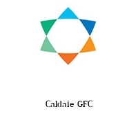 Logo Caldaie GFC