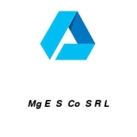 Logo Mg E  S  Co  S R L