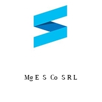 Logo Mg E  S  Co  S R L