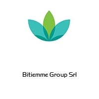 Logo Bitiemme Group Srl