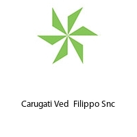 Logo Carugati Ved  Filippo Snc