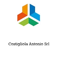 Logo Costigliola Antonio Srl