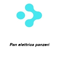 Logo Pan elettrica panzeri