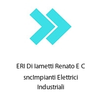 Logo ERI Di Iametti Renato E C sncImpianti Elettrici Industriali