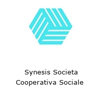 Logo Synesis Societa Cooperativa Sociale 
