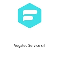 Vegatec Service srl 