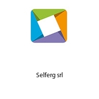 Logo Selferg srl