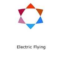 Logo Electric Flying