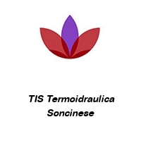 Logo TIS Termoidraulica Soncinese
