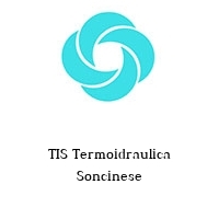 Logo TIS Termoidraulica Soncinese