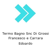Logo Termo Bagno Snc Di Grossi Francesco e Carrara Edoardo