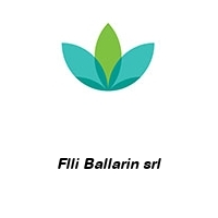 Logo Flli Ballarin srl