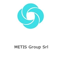 Logo METIS Group Srl