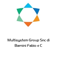 Multisystem Group Snc di Barnini Fabio e C