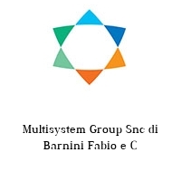 Logo Multisystem Group Snc di Barnini Fabio e C