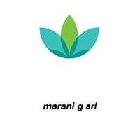 Logo marani g srl