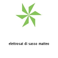 Logo elettrosat di sasso matteo