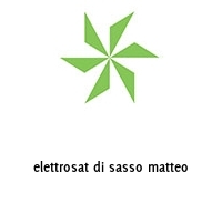 Logo elettrosat di sasso matteo