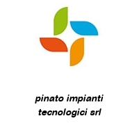 Logo pinato impianti tecnologici srl