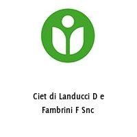 Ciet di Landucci D e Fambrini F Snc