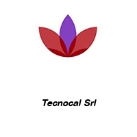 Logo Tecnocal Srl