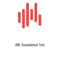 RIE Assistance Snc