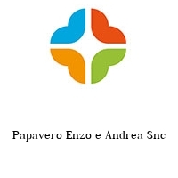 Logo Papavero Enzo e Andrea Snc