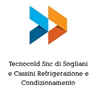Logo Tecnocold Snc di Sogliani e Cassini Refrigerazione e Condizionamento
