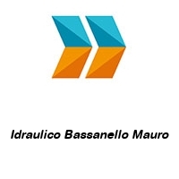Logo Idraulico Bassanello Mauro