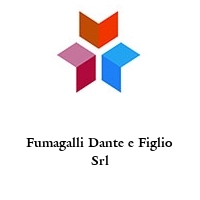 Logo Fumagalli Dante e Figlio Srl