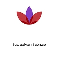 Logo fgs galvani fabrizio