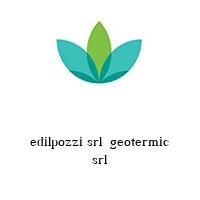 Logo edilpozzi srl  geotermic srl