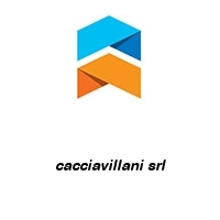 Logo cacciavillani srl