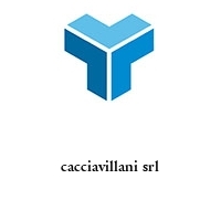 Logo cacciavillani srl