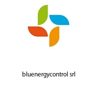 Logo bluenergycontrol srl