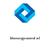 Logo bluenergycontrol srl