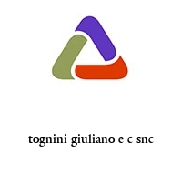Logo tognini giuliano e c snc