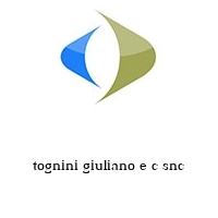 tognini giuliano e c snc