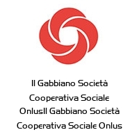 Logo Il Gabbiano Società Cooperativa Sociale OnlusIl Gabbiano Società Cooperativa Sociale Onlus