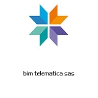 Logo bim telematica sas