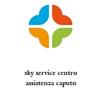 Logo sky service centro assistenza caputo